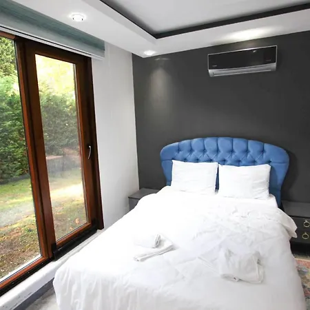 Peaceful Villa With Pool Surrounded By Nature In Sapanca Willa