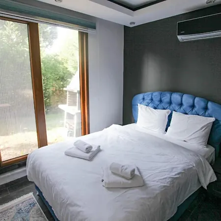 Willa Peaceful Villa With Pool Surrounded By Nature In Sapanca Sakarya (Marmara)